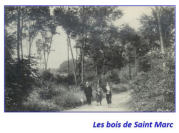 Bois Saint Marc