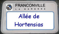 panneau Hortensias