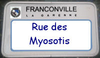 panneau Myosotis